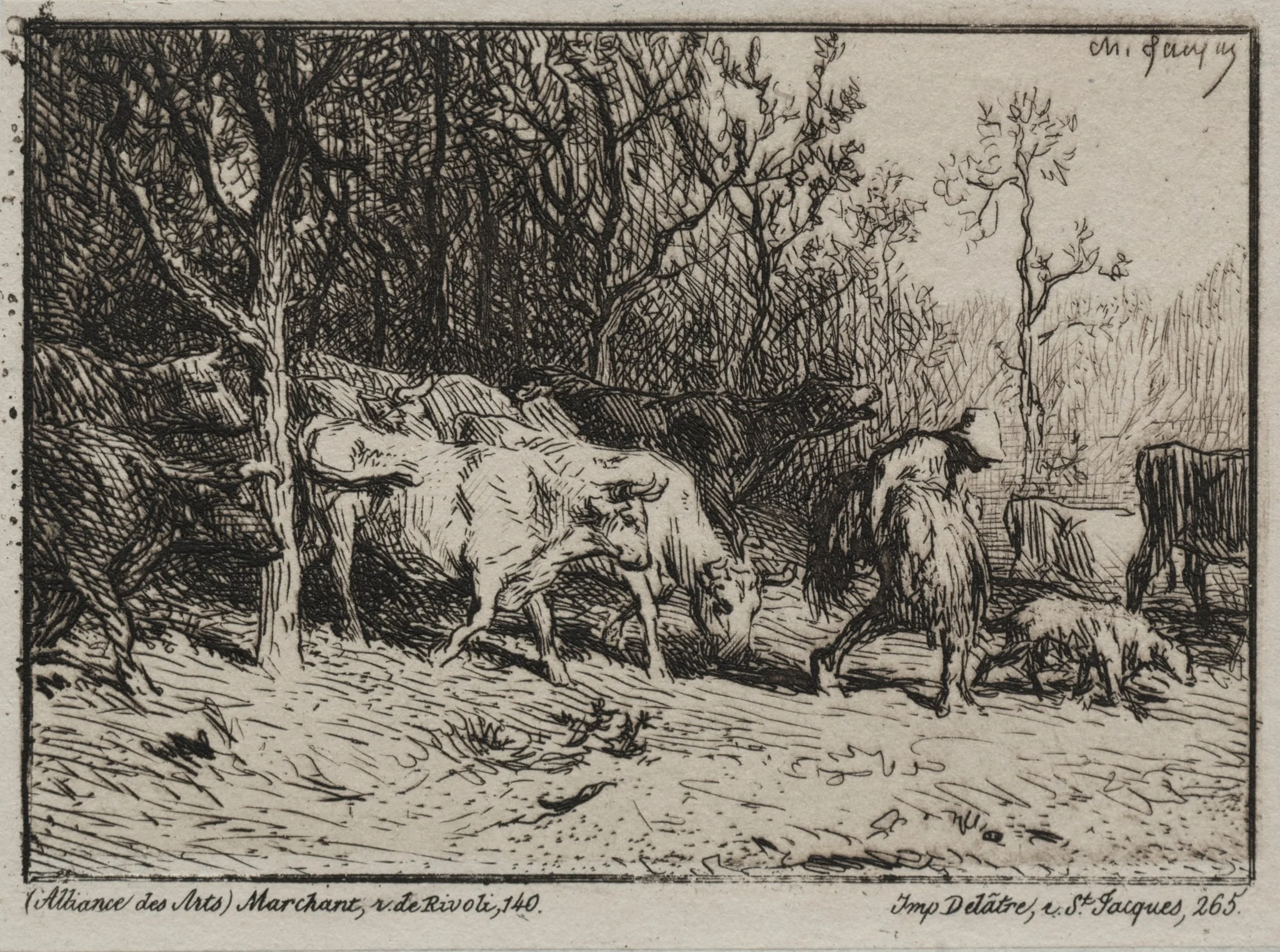 Cowherd, by Charles Jacque, 1855