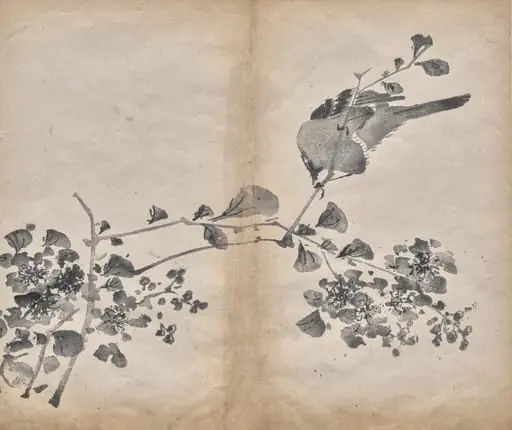 Blossoms
