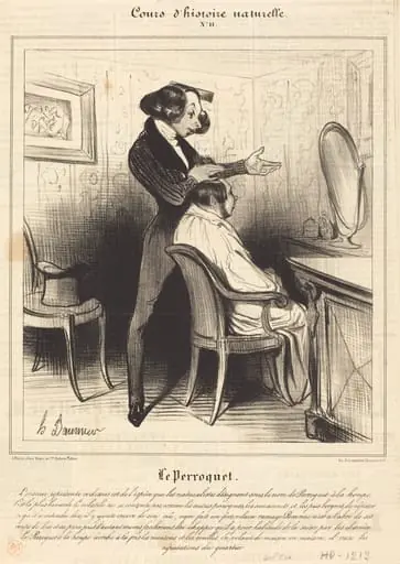 Le Perroquet