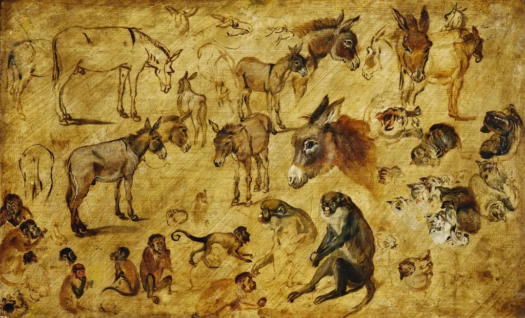 Studies of Animals (Donkeys, Cats, Monkeys)