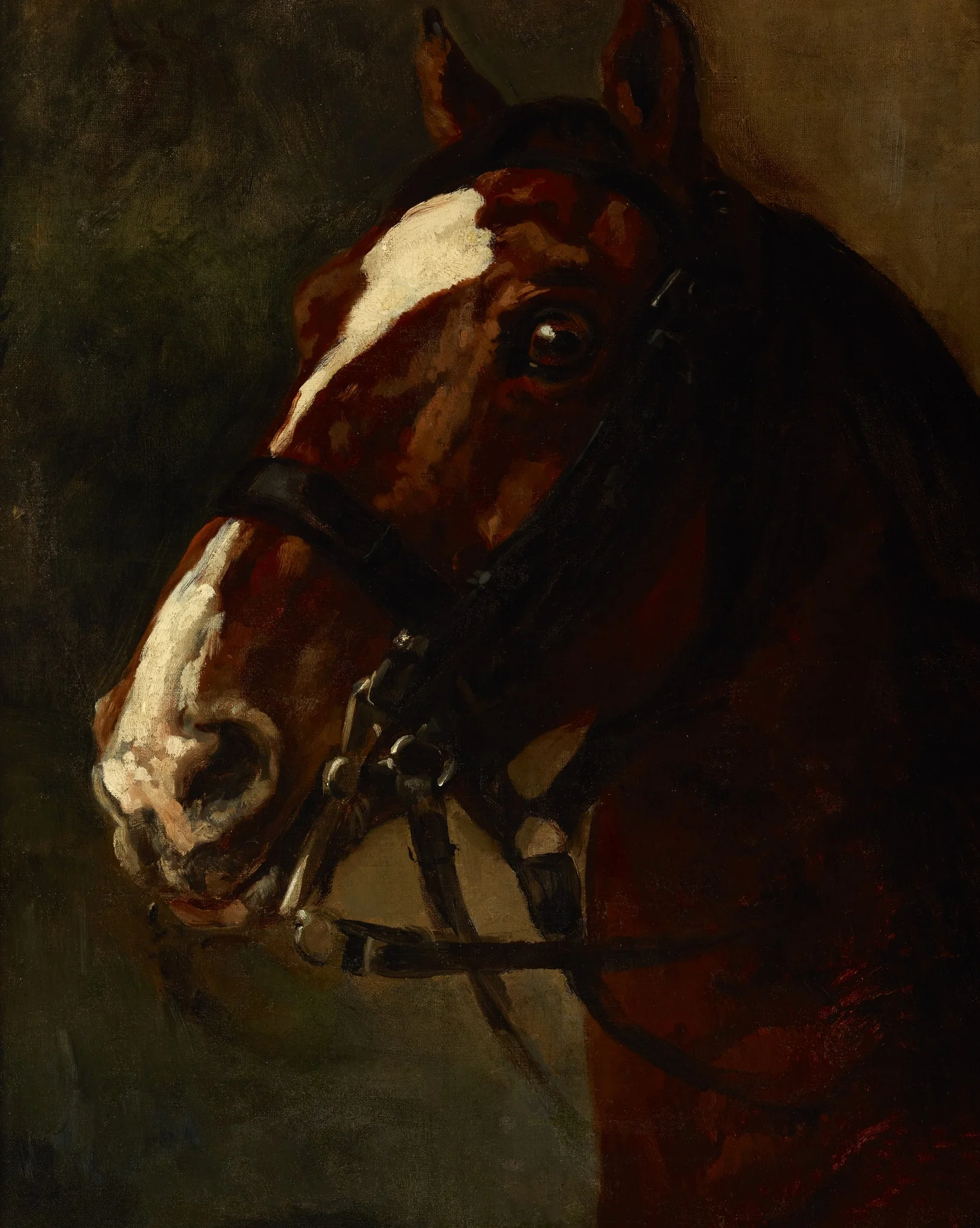 Bay Horse's Head