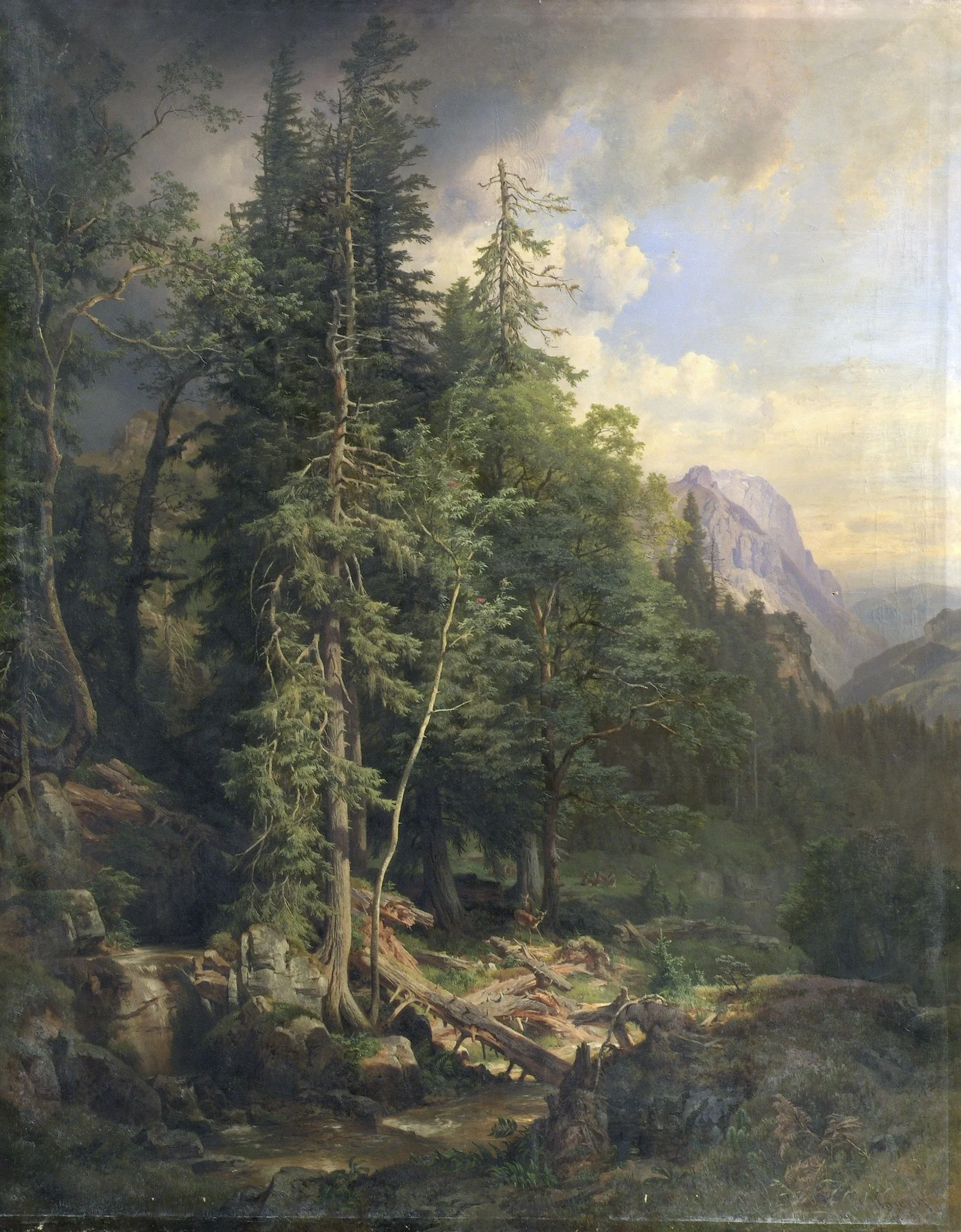 From the Styrian Mountain Forests near Neuberg