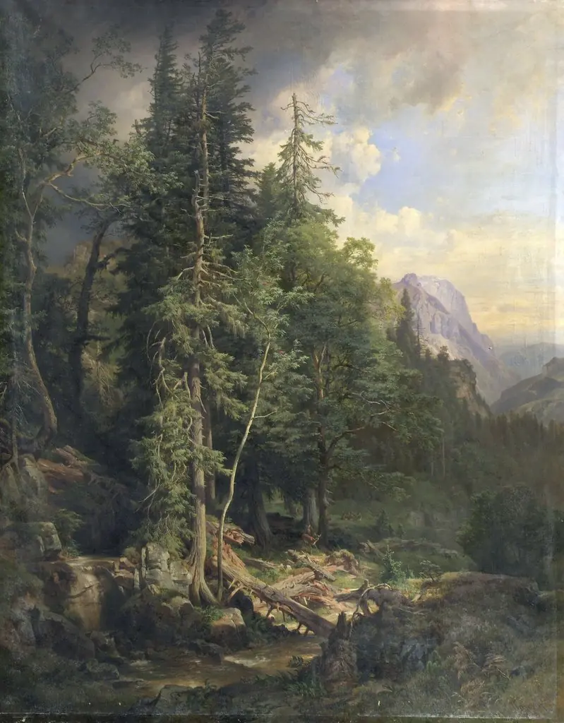 From the Styrian Mountain Forests near Neuberg