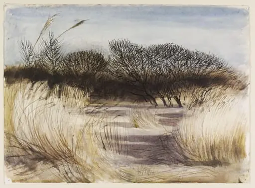 Oxwich, Gower, Glamorganshire