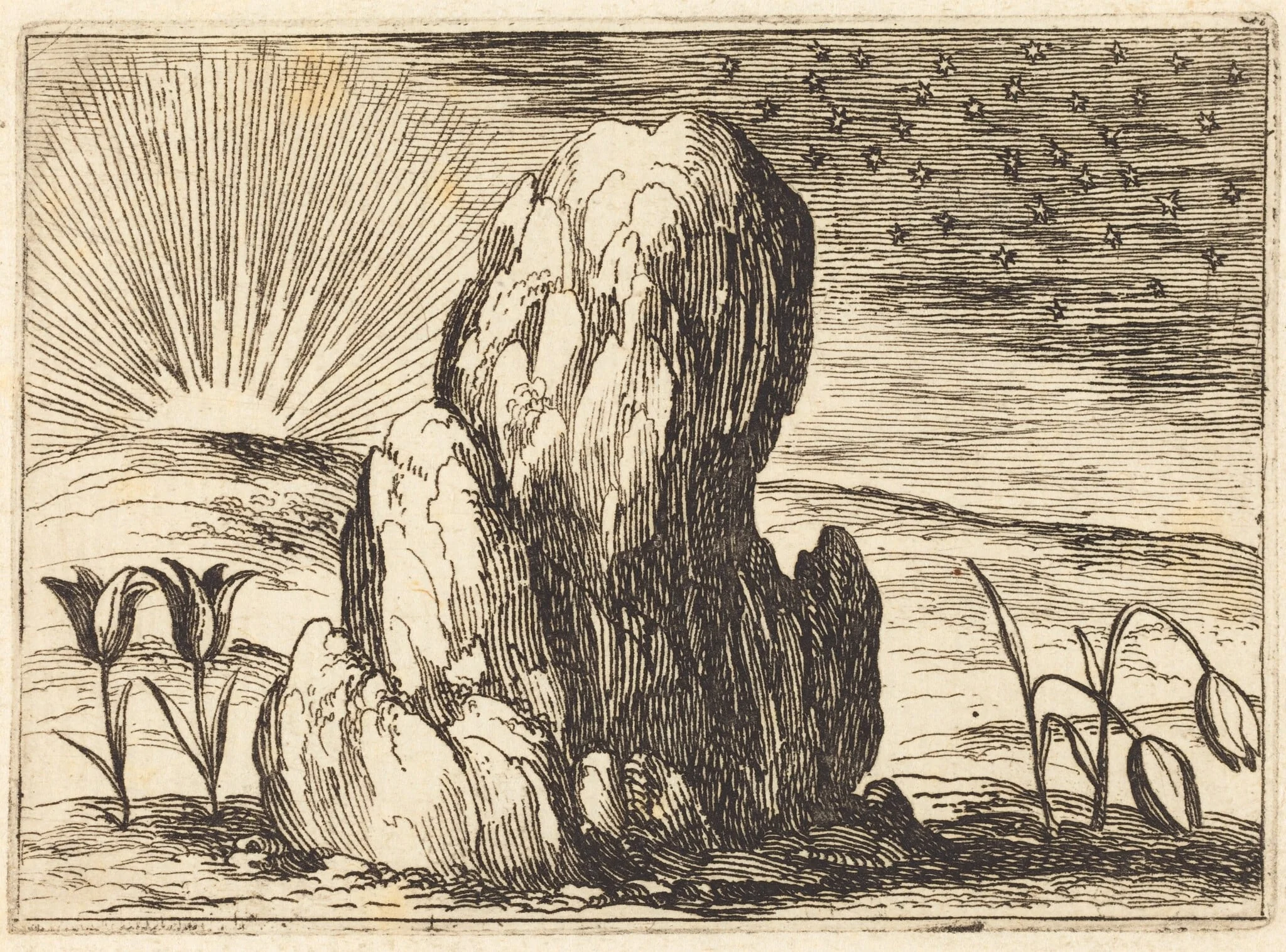 The Tulips and the Sun, by Jacques Callot, ink, 1628