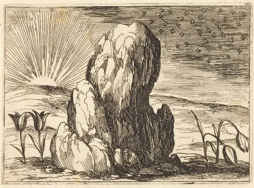 The Tulips and the Sun