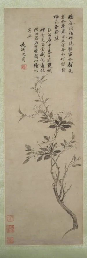 Flowering Crab Apple, by Shen Zhou, unspecified, 1500