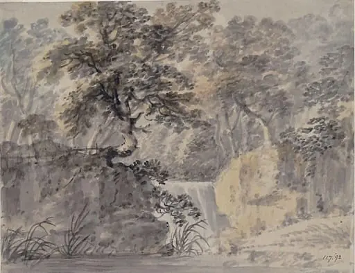 Waterfall in a wood