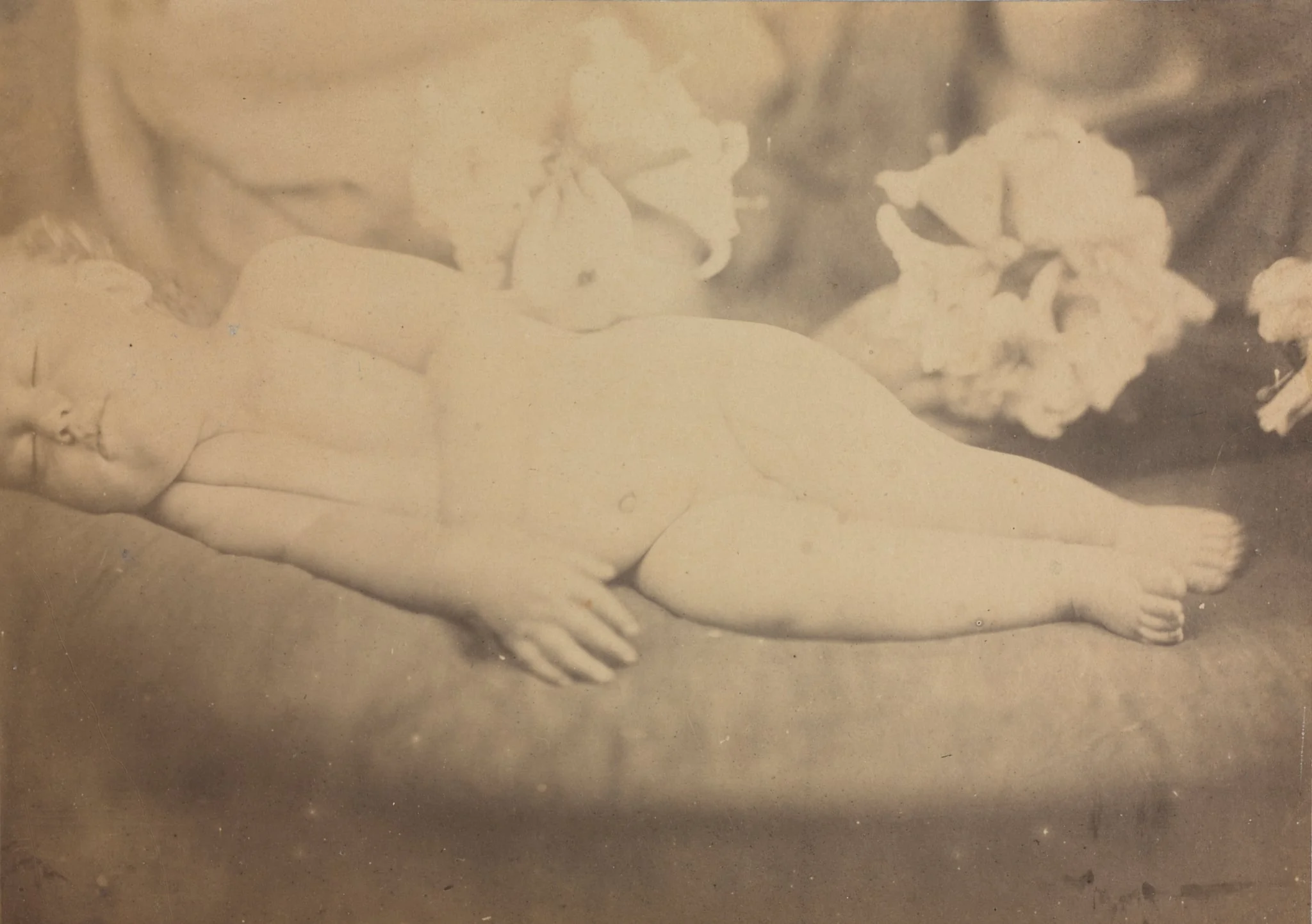 The Lily and the Lamb, by Julia Margaret Cameron, 1865