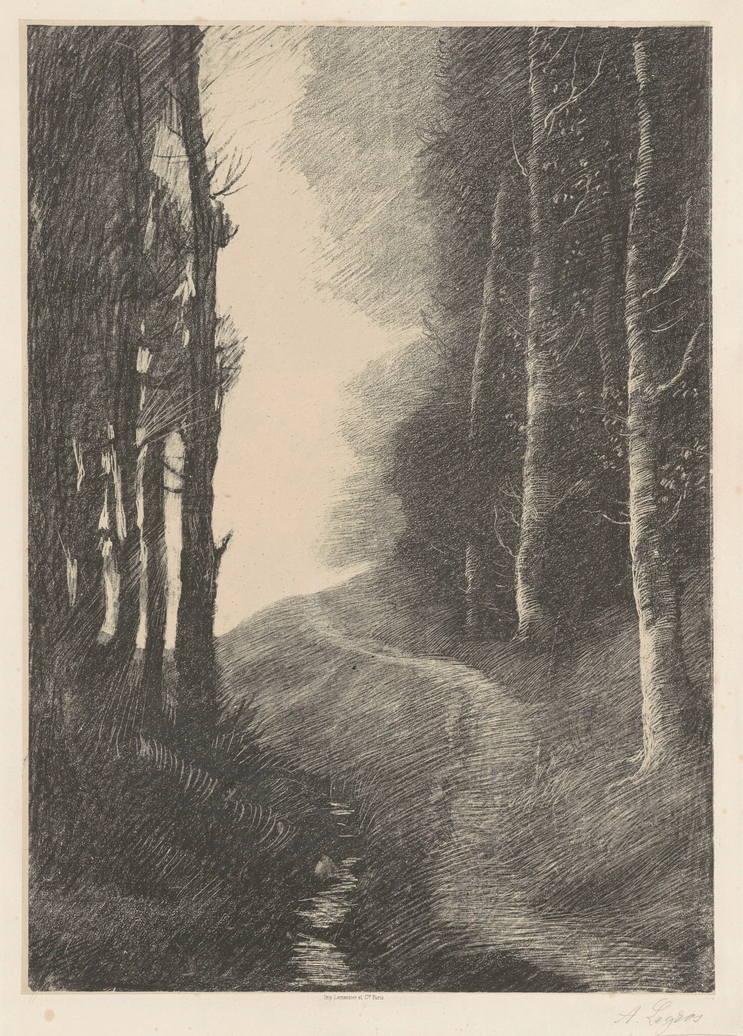 Landscape with Birch Trees (Le Paysage aux Bouleaux), by Alphonse Legros, ink, 1878