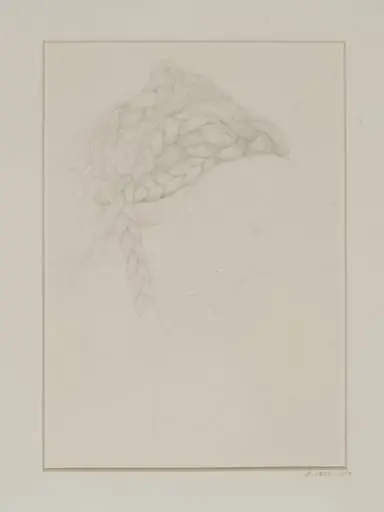 Study of a coiffure