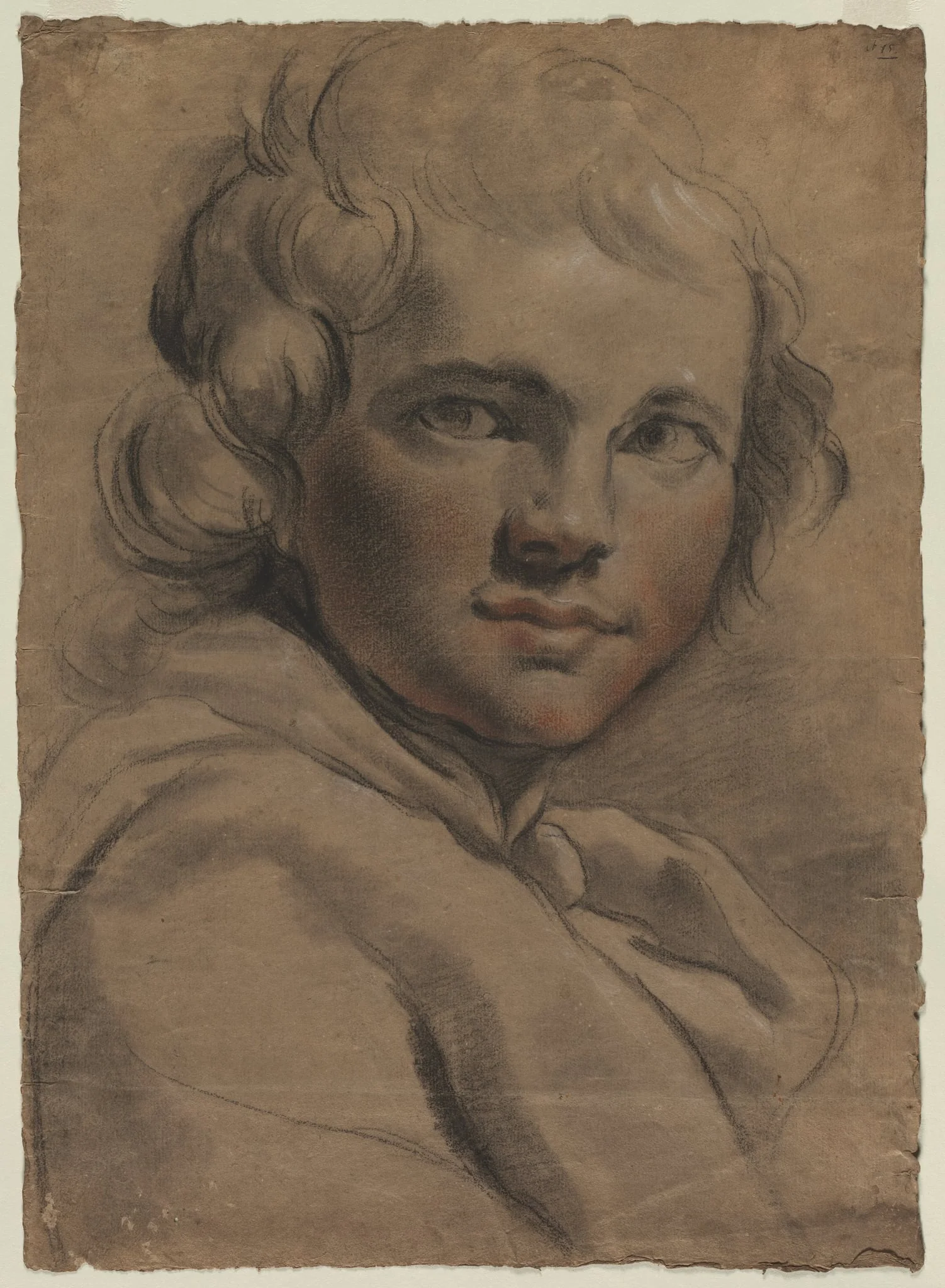 Head of a Young Man (recto), by Gaetano Gandolfi, 1784