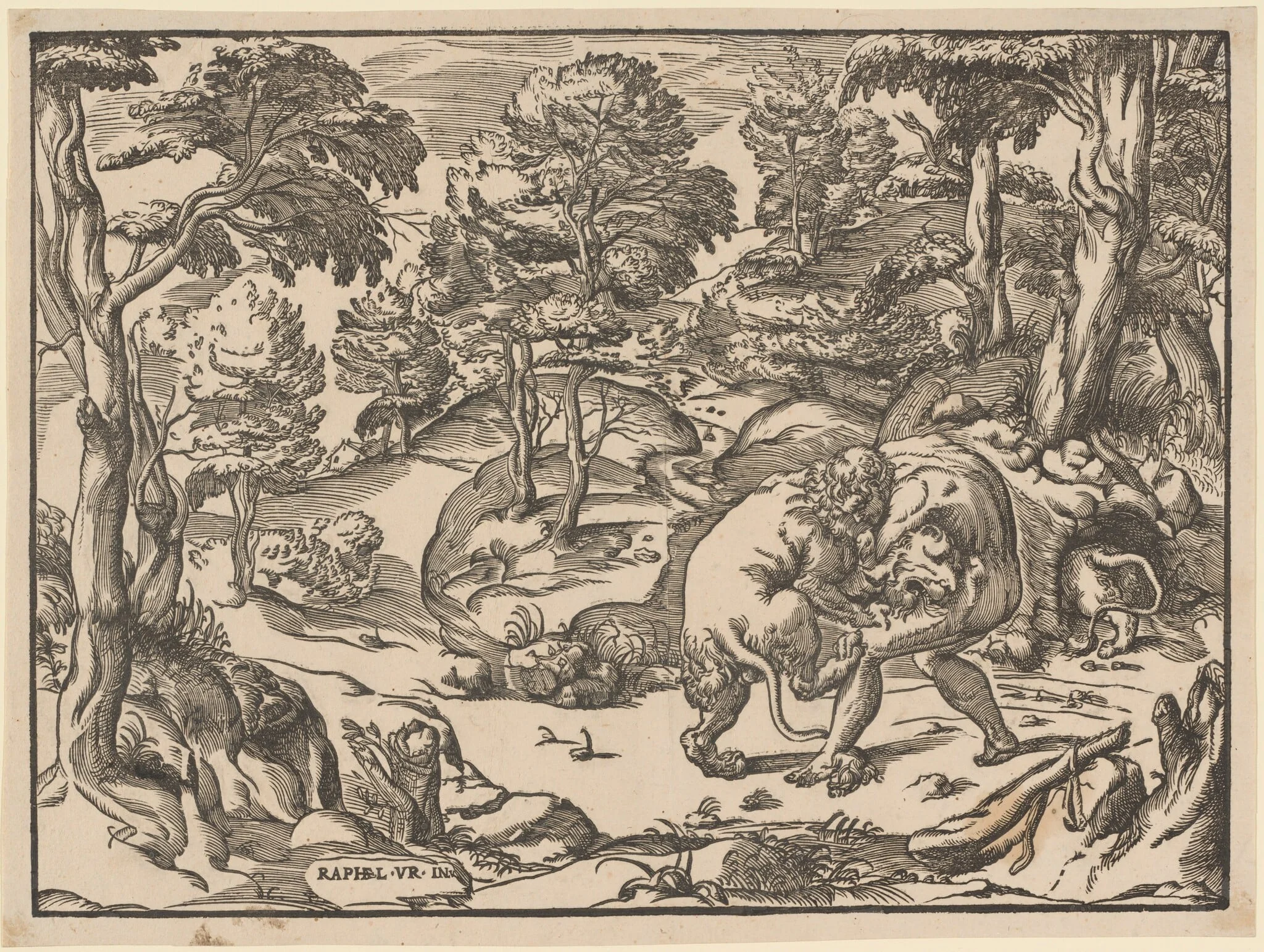 Hercules and the Nemean Lion, by Nicolò Boldrini, ink, 1566