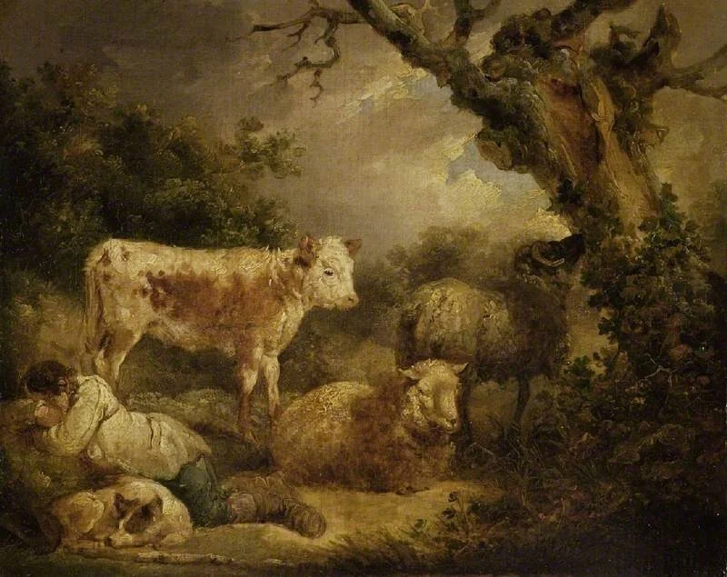 Calf and sheep