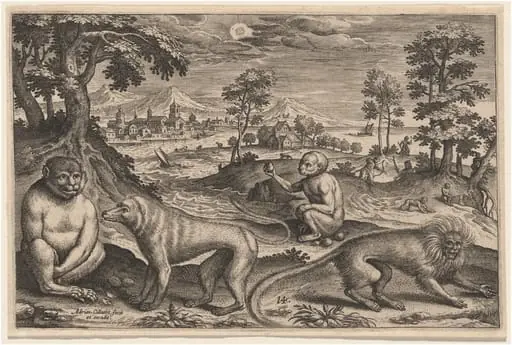 Two Apes and Two Monkeys