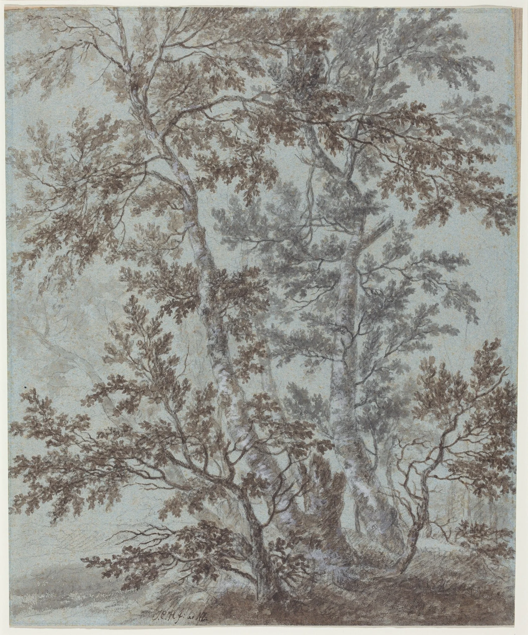 A Stand of Birch Trees, by Johann Caspar Huber, ink, 1790
