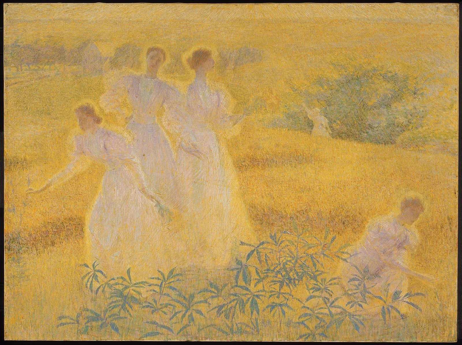 Girls in Sunlight