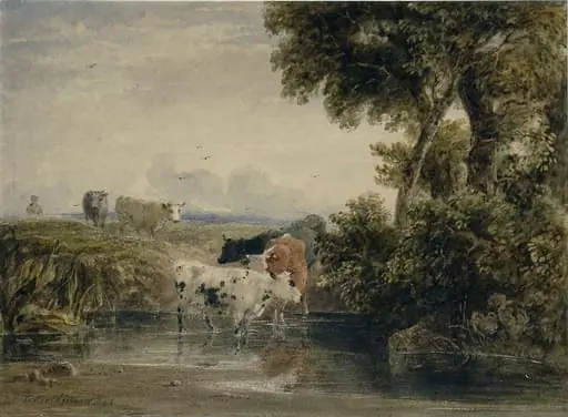 Landscape with cattle