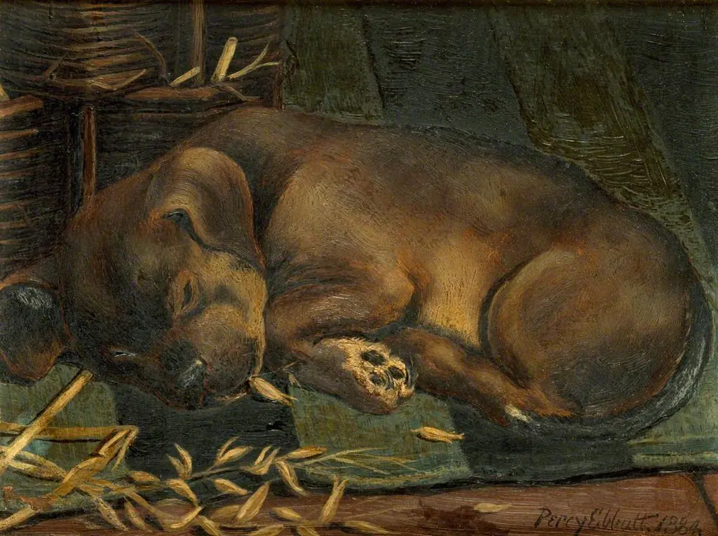 Tired Out