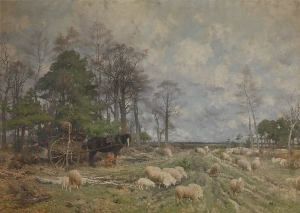 Heathland in Spring