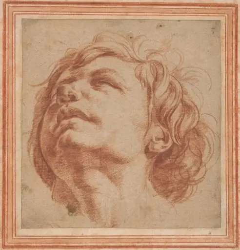 Head Study of a Young Man Looking Upward