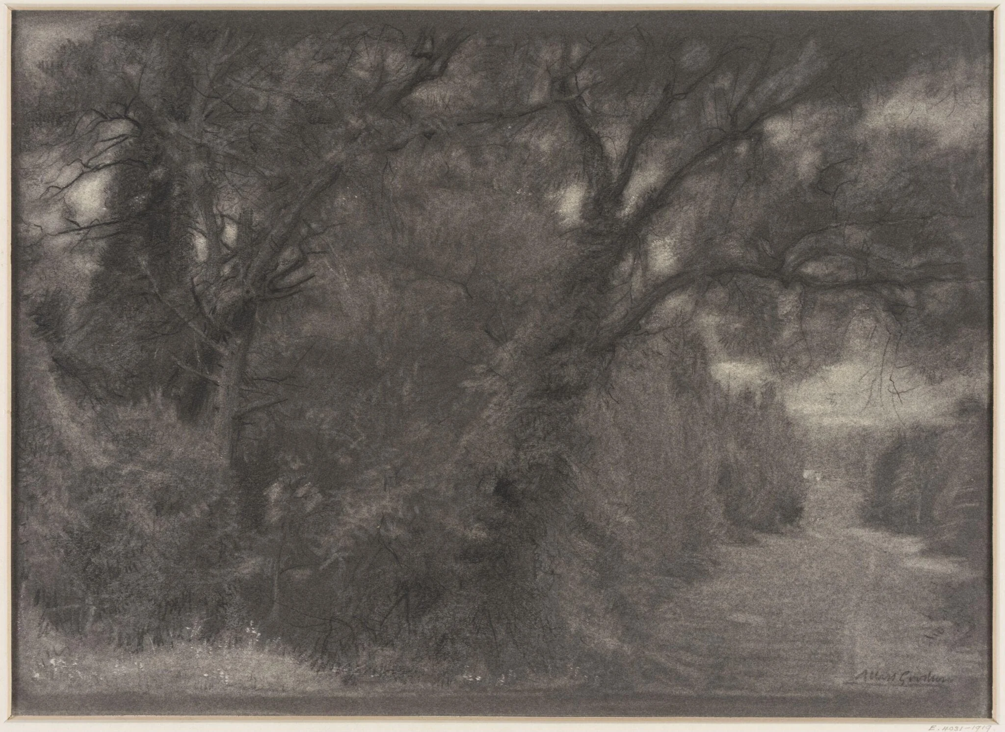 Landscape : a woodland scene