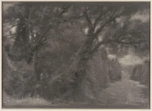 Landscape : a woodland scene