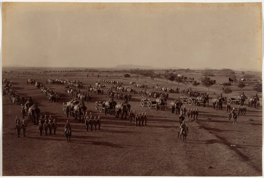 Elephant Battery on Parade, by Raja Deen Dayal, 1886