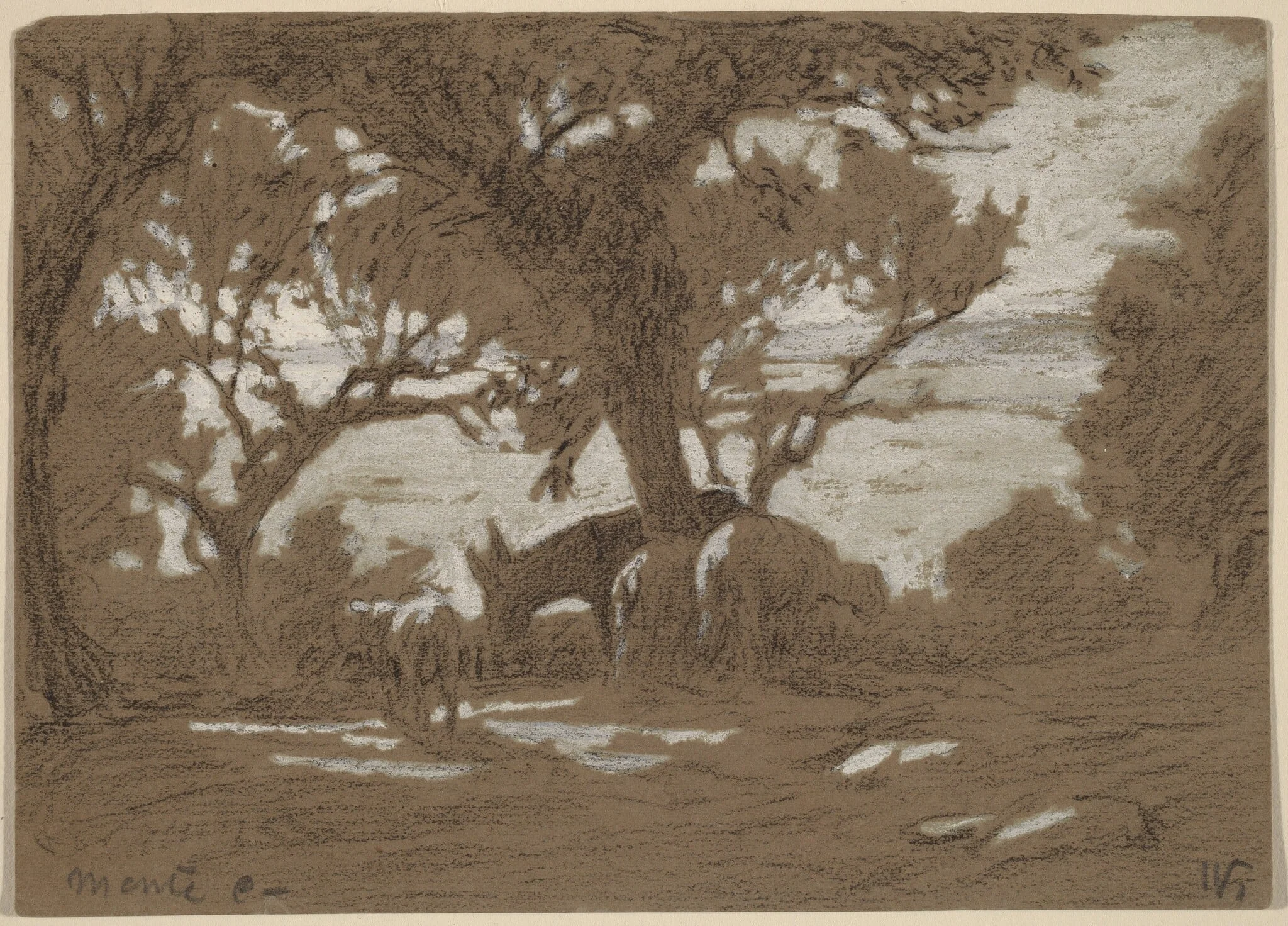 Mt. Colognola - Sheep Grazing on Lake Trasimeno