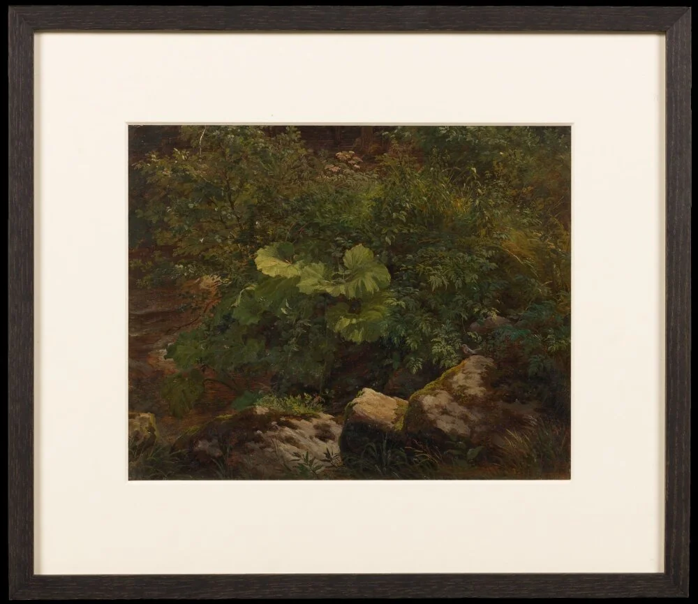Plants. Study, by Gustav Friedrich Papperitz, unspecified, 1845