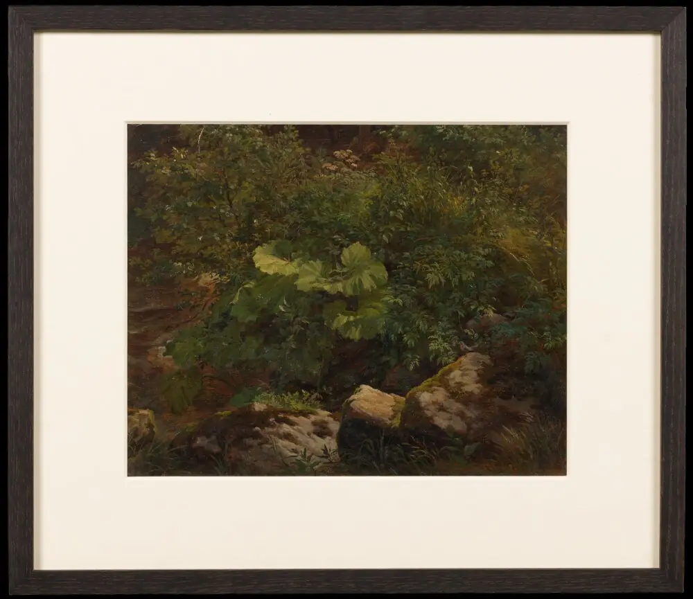 Plants. Study