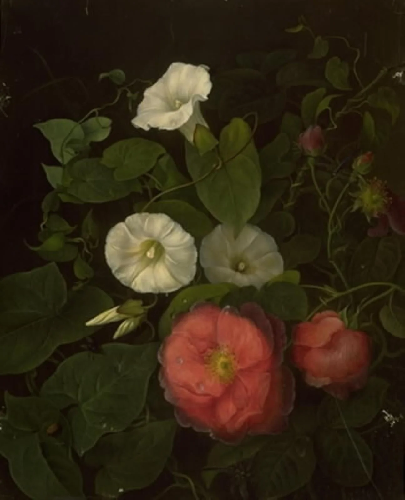 Roser og epomenea, by Unknown, 1845