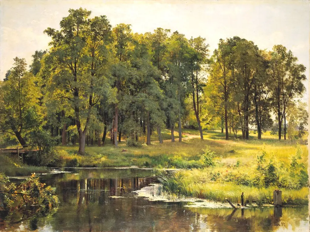 In the Park