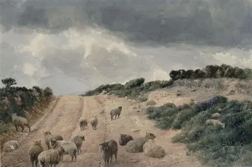 Sheep on the Surrey Hills