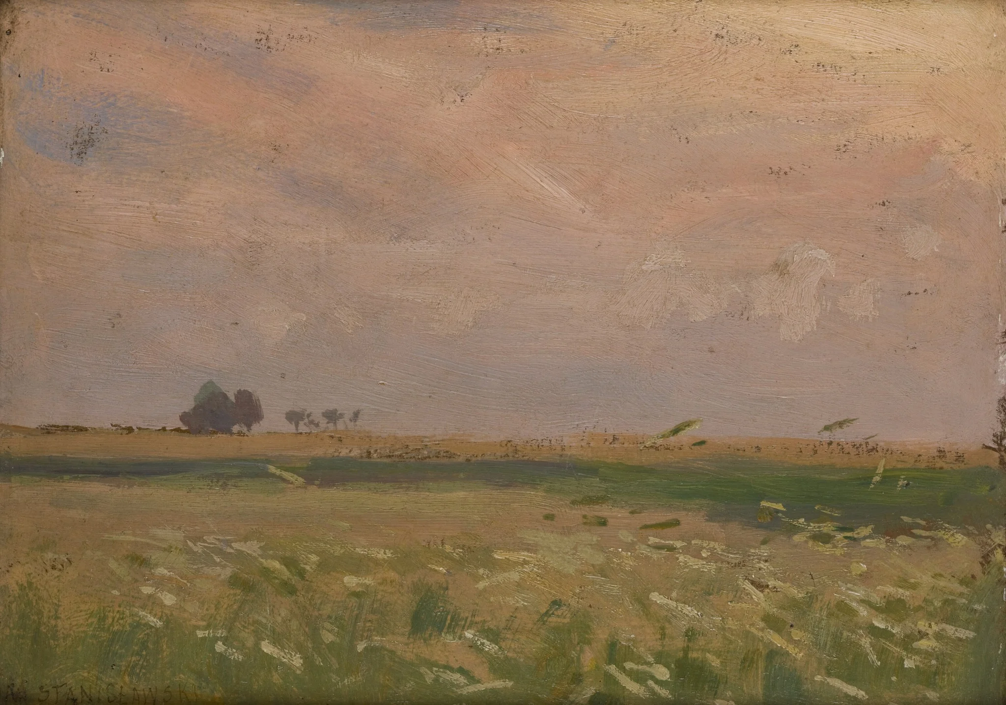 Fields near Bronowice