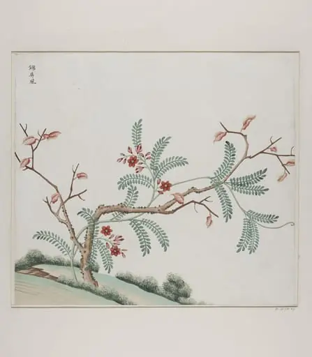 Jin pin feng