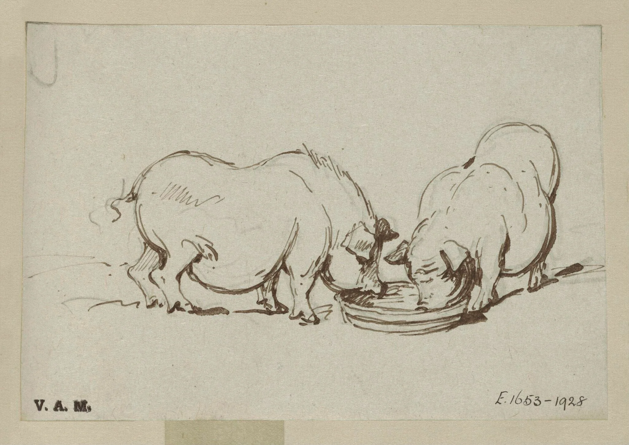 Two pigs feeding, by George Chinnery, 19