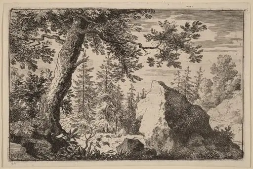 Boulder in the Woods