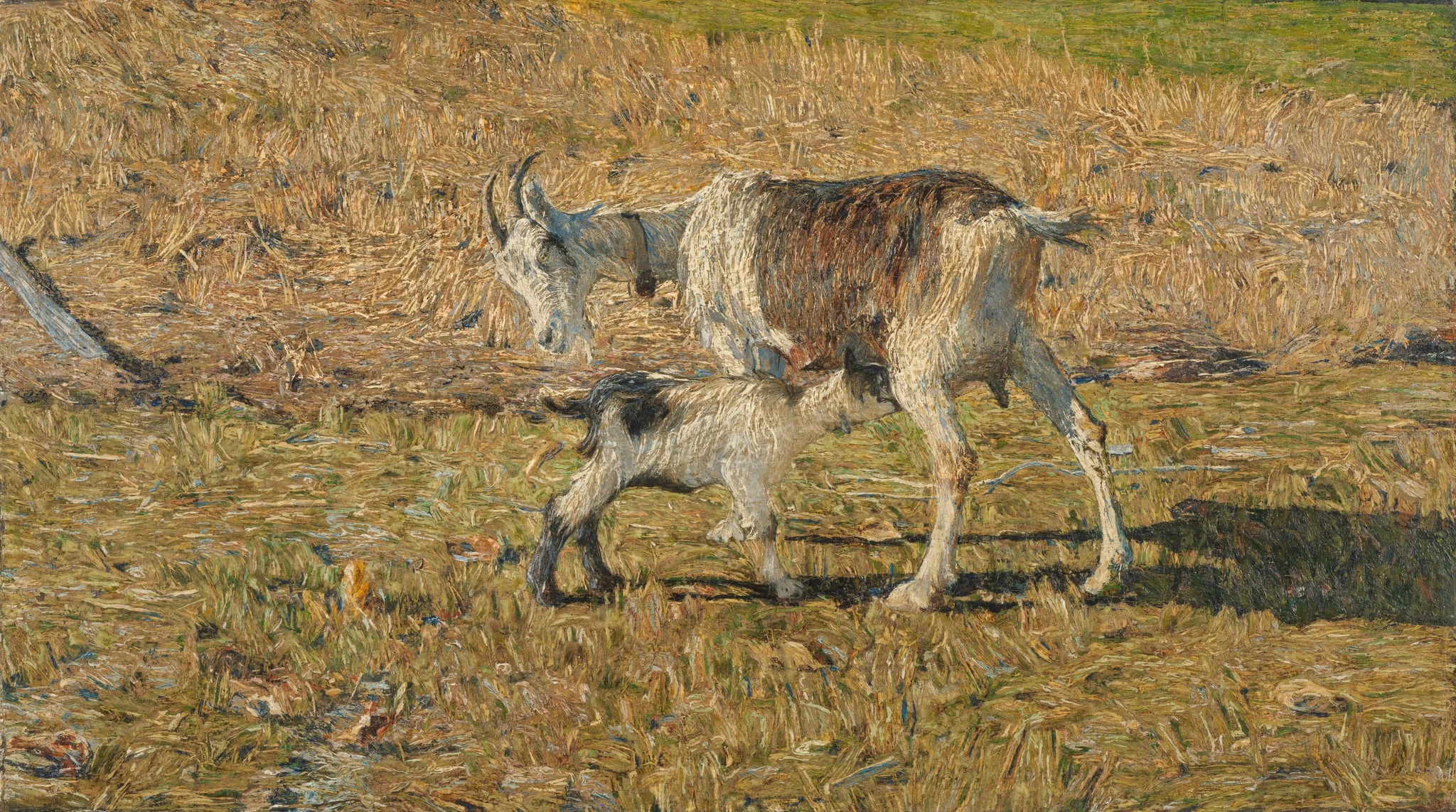 A Goat with her Kid, by Unknown, unspecified, 1890