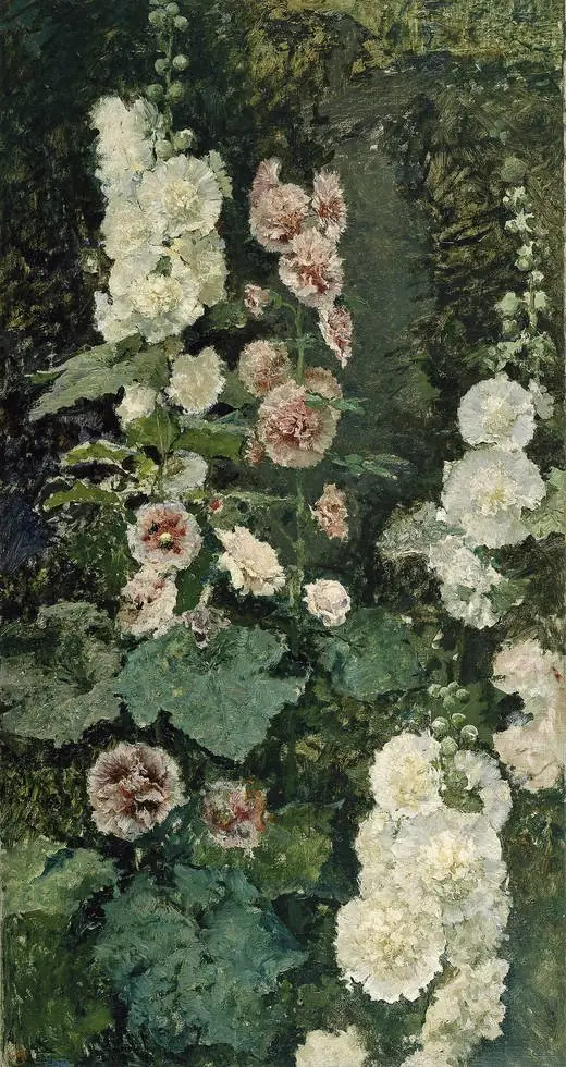 Hollyhocks