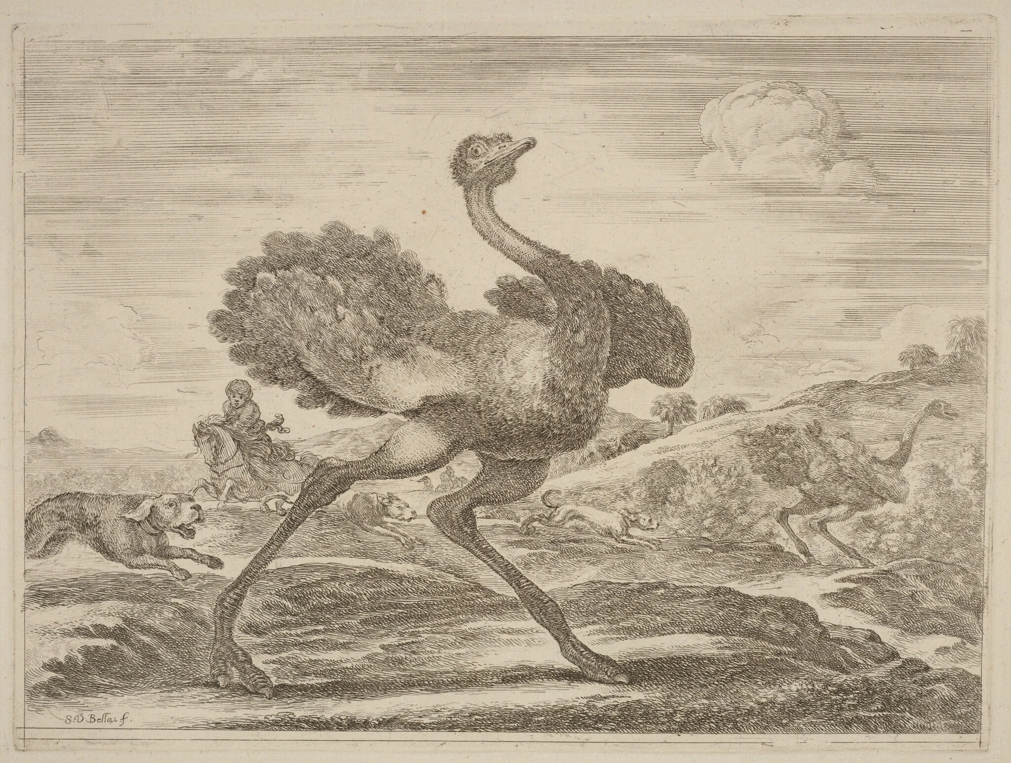 Ostrich Hunt, by Stefano Della Bella, ink, 1637