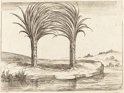 Two Palm Trees