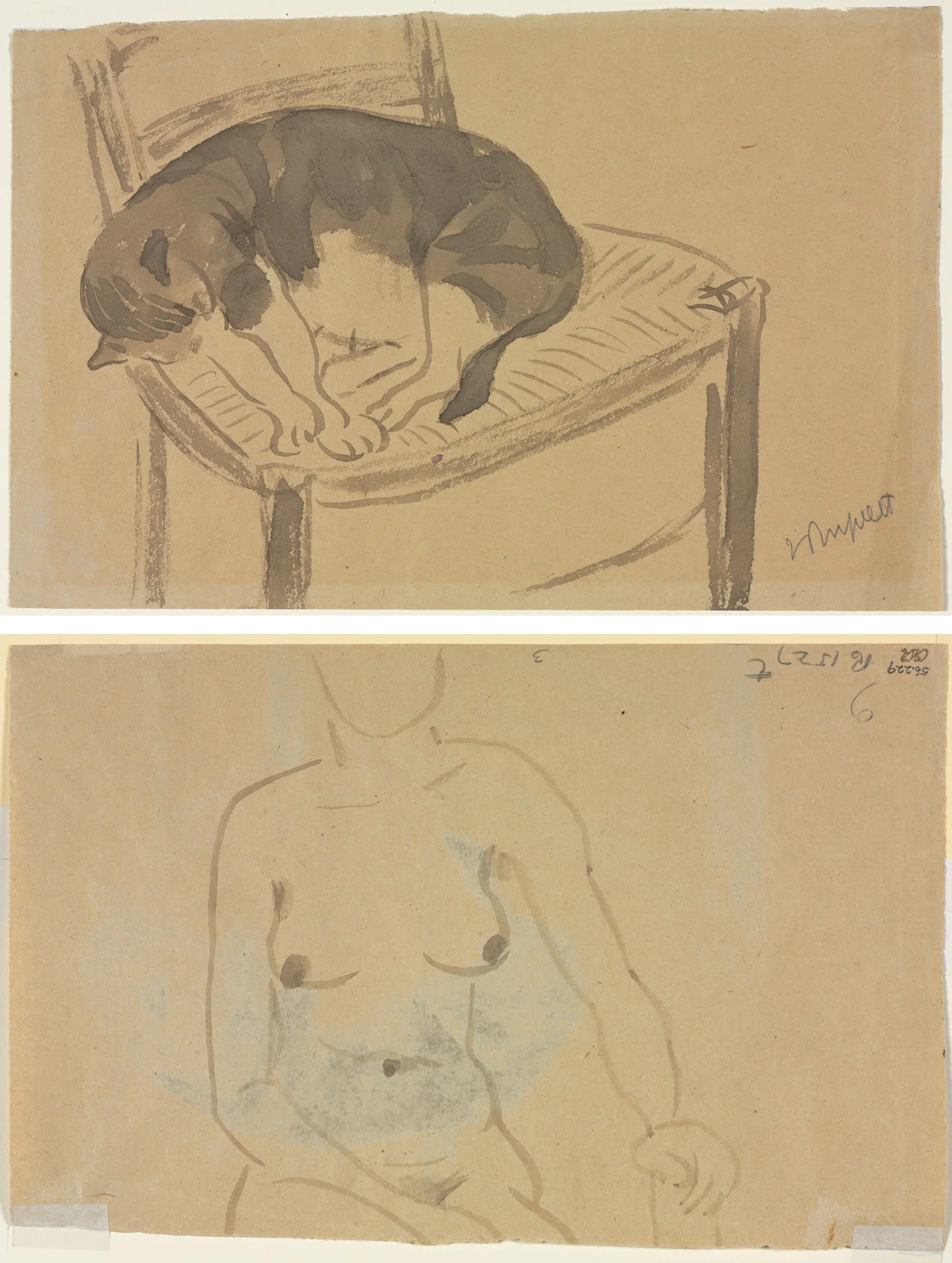 Sleeping Cat (recto) Torso of a Nude Woman (verso), by Jane Poupelet, 1904
