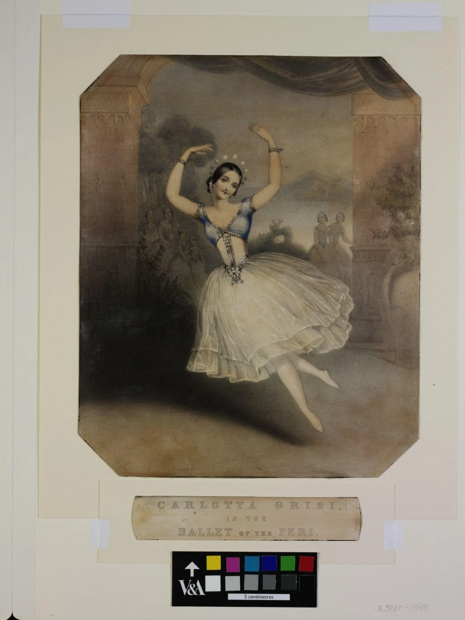 Carlotta Grisi,