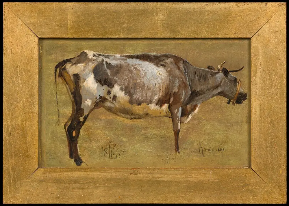 Study of a Cow