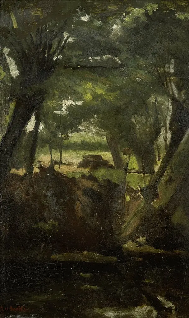 View in the Woods