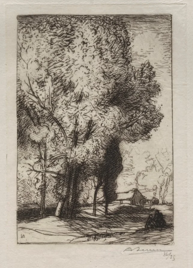 Bourrine dans les Peupliers, by Auguste Lepère, 1911