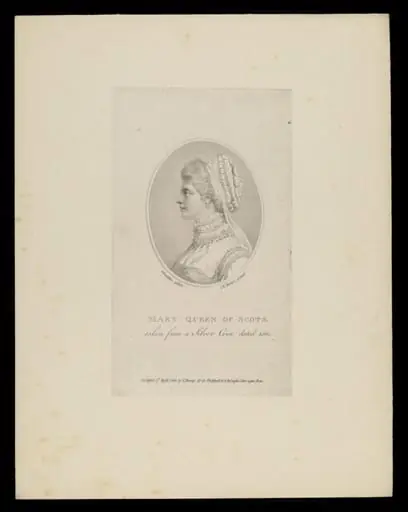 H Beard Print Collection