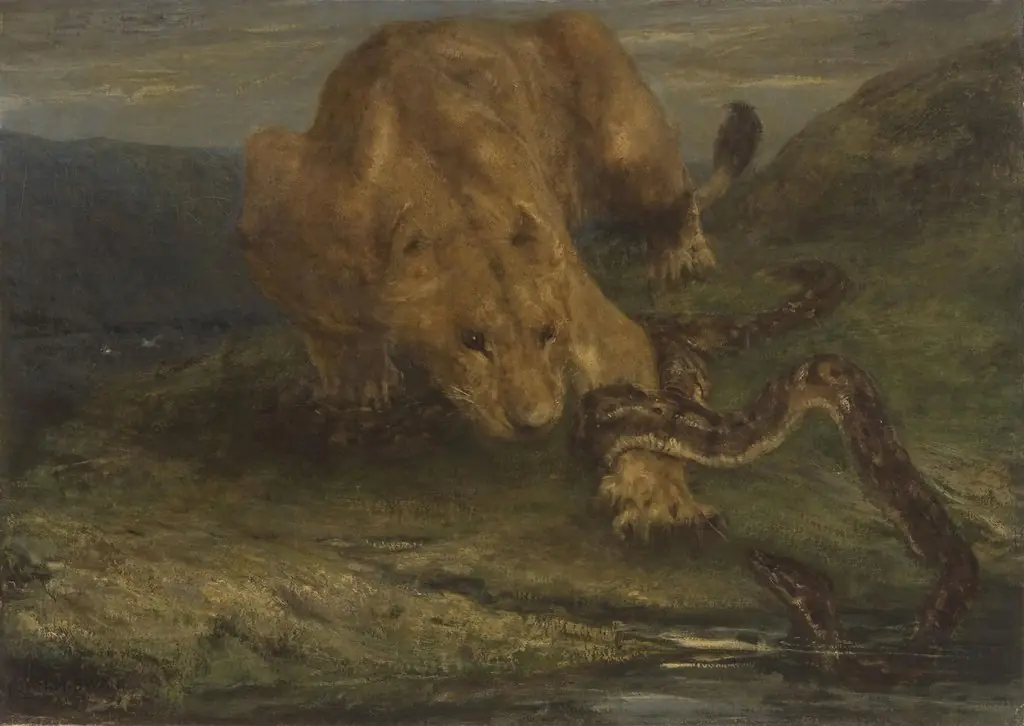 A Lioness and a Snake
