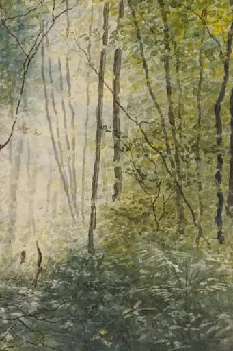 Luminiș de pădure